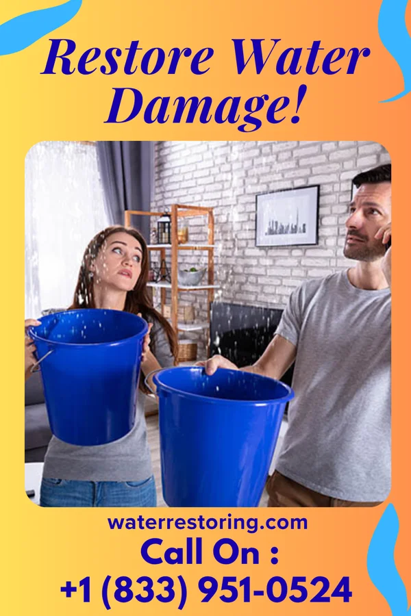 water restoration Sterling Drying Contractors Trenton