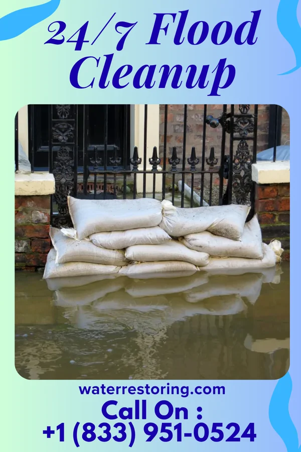 24/7 Flood Cleanup in Trenton, TN