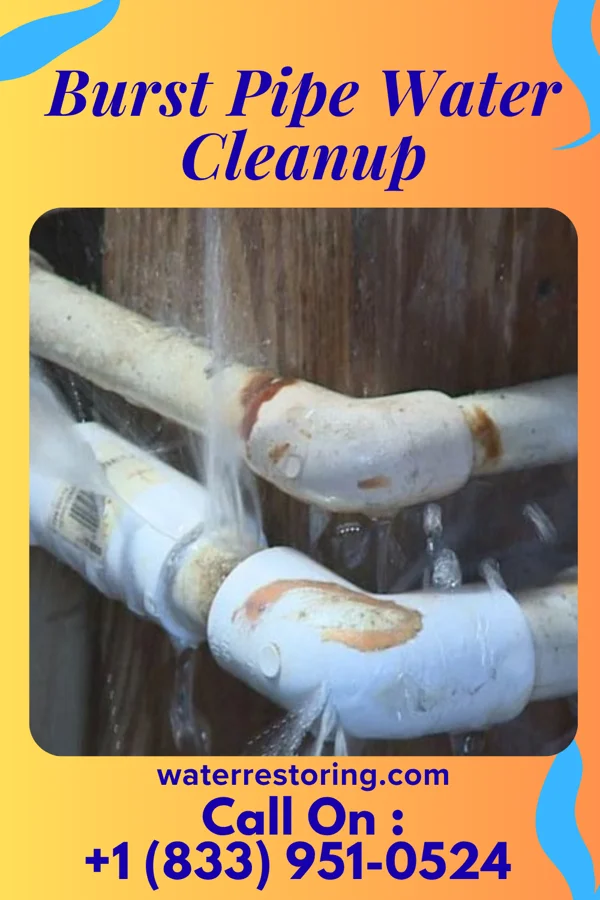 Burst Pipe Water Cleanup in Trenton, TN