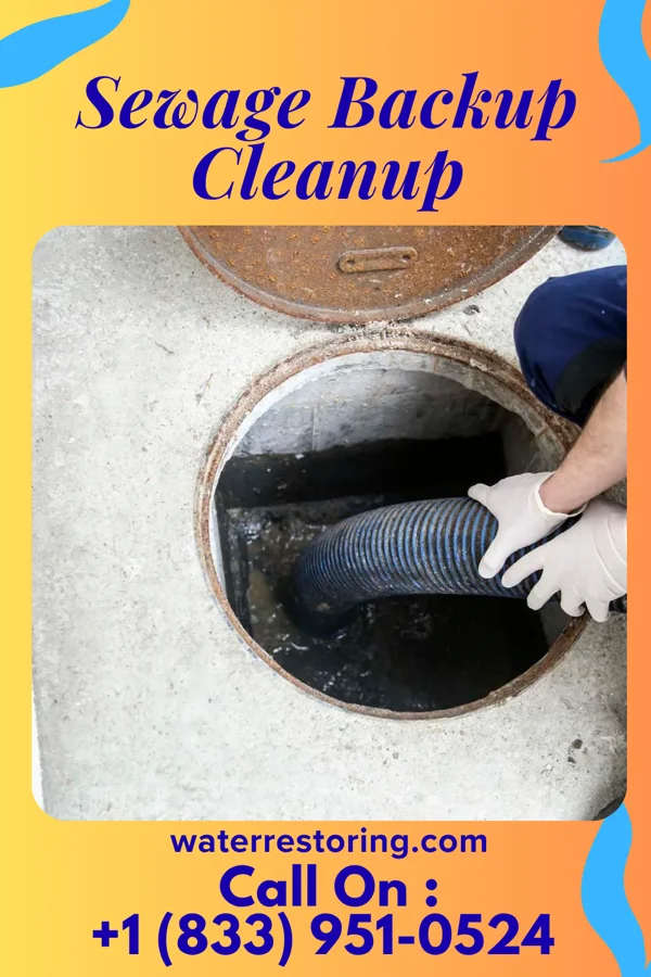 Sewage Backup Cleanup in Trenton, TN